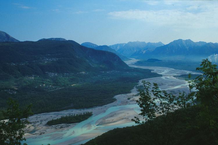 Tagliamento